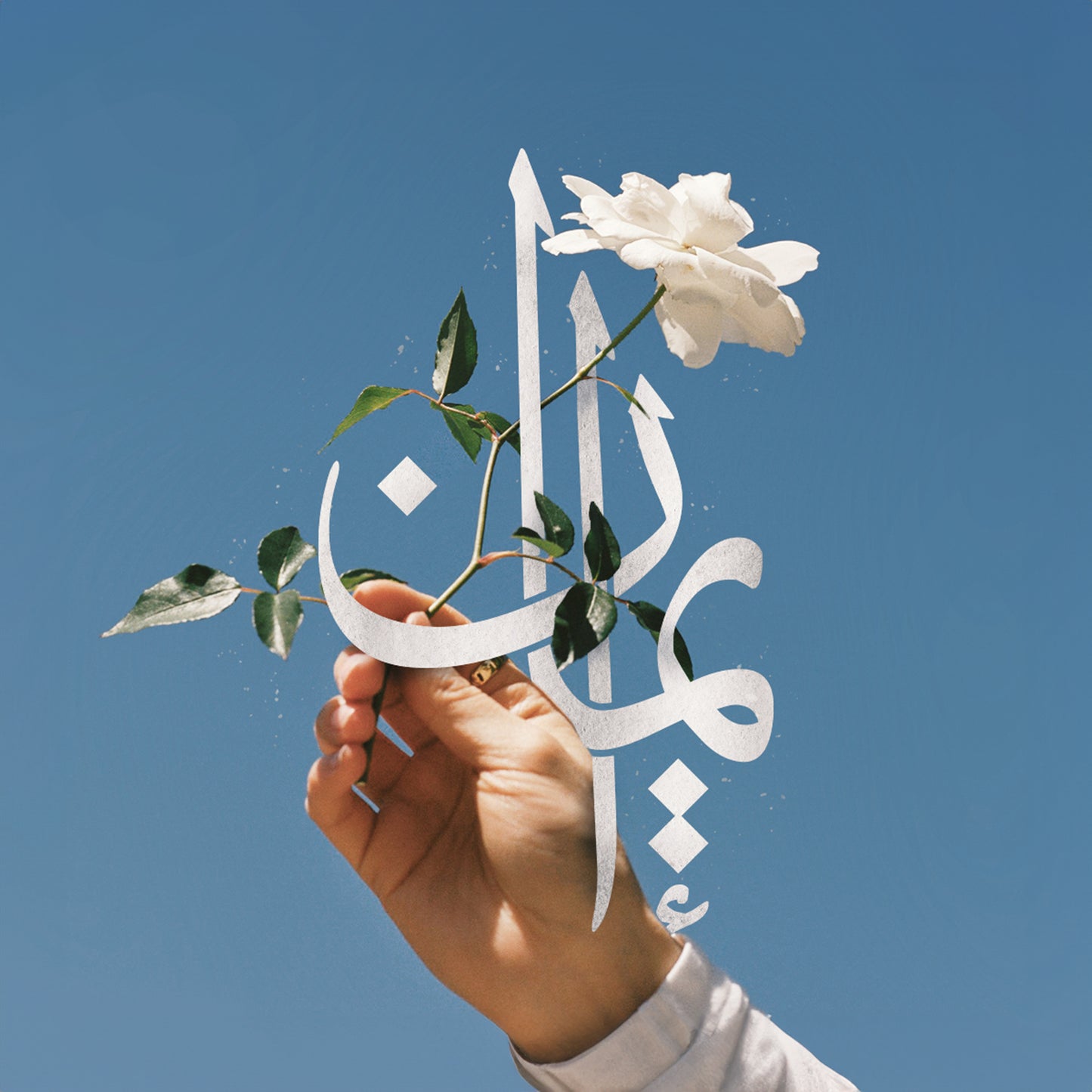 كتابة الأسماء بالخط العربي